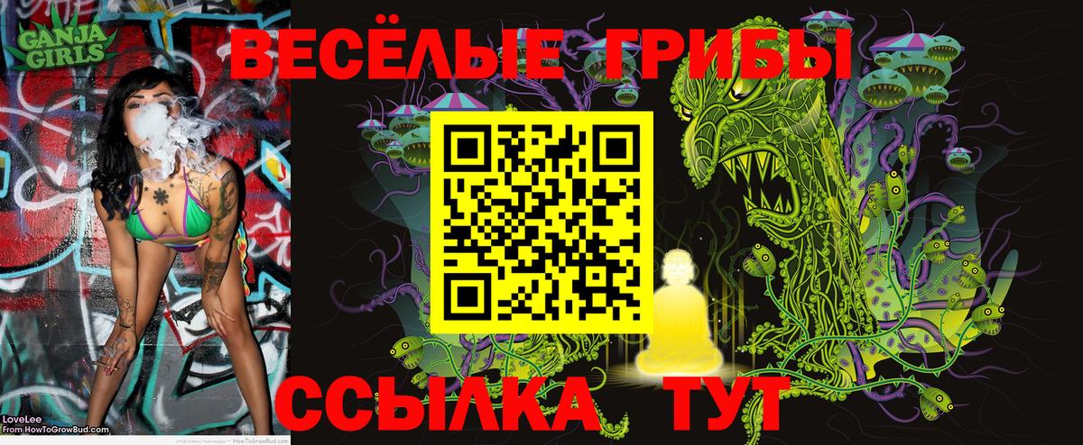 Галлюциногенные грибы ЛСД Россошь
